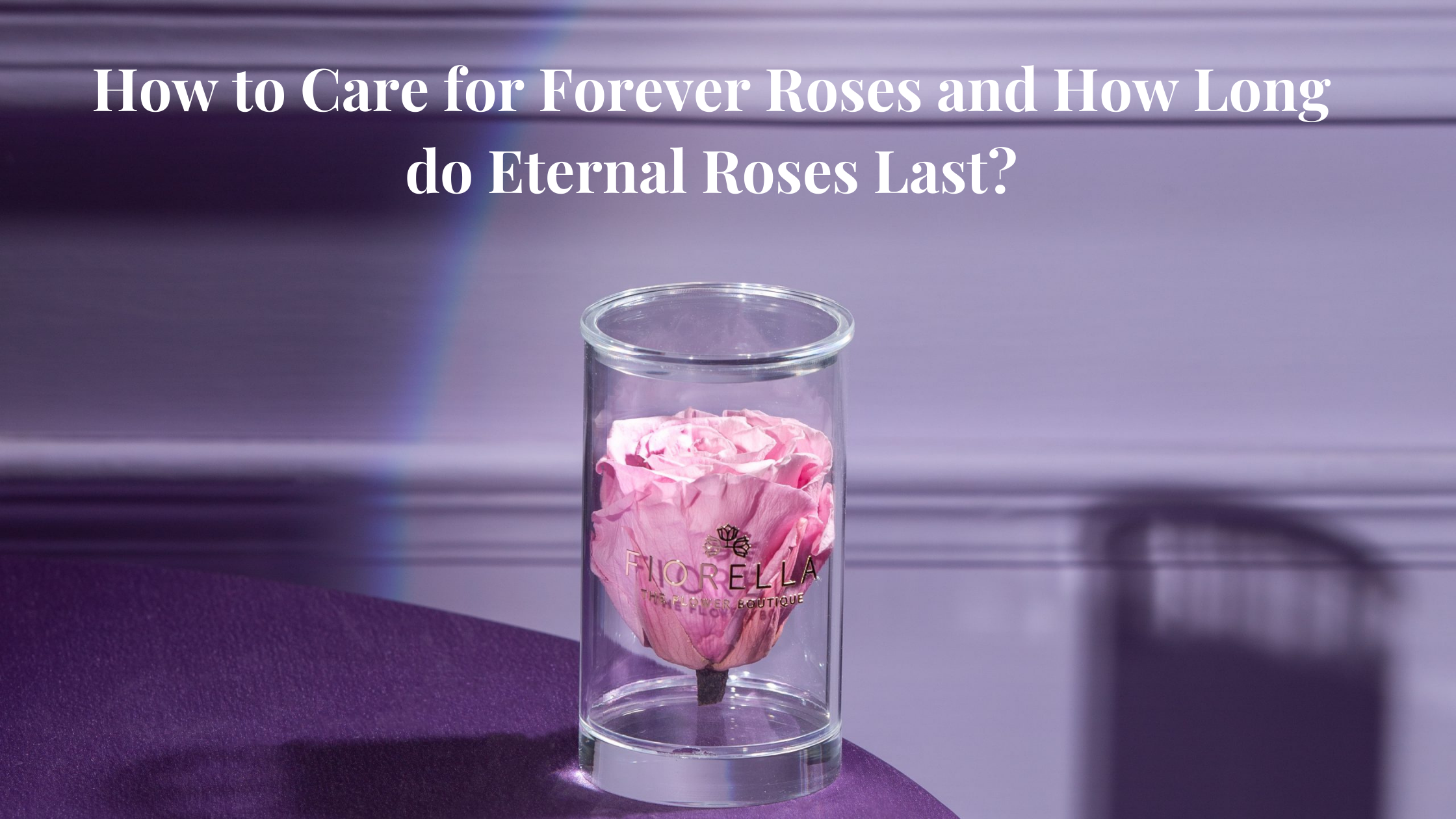 How to Care for Forever Roses and How Long do Eternal Roses Last