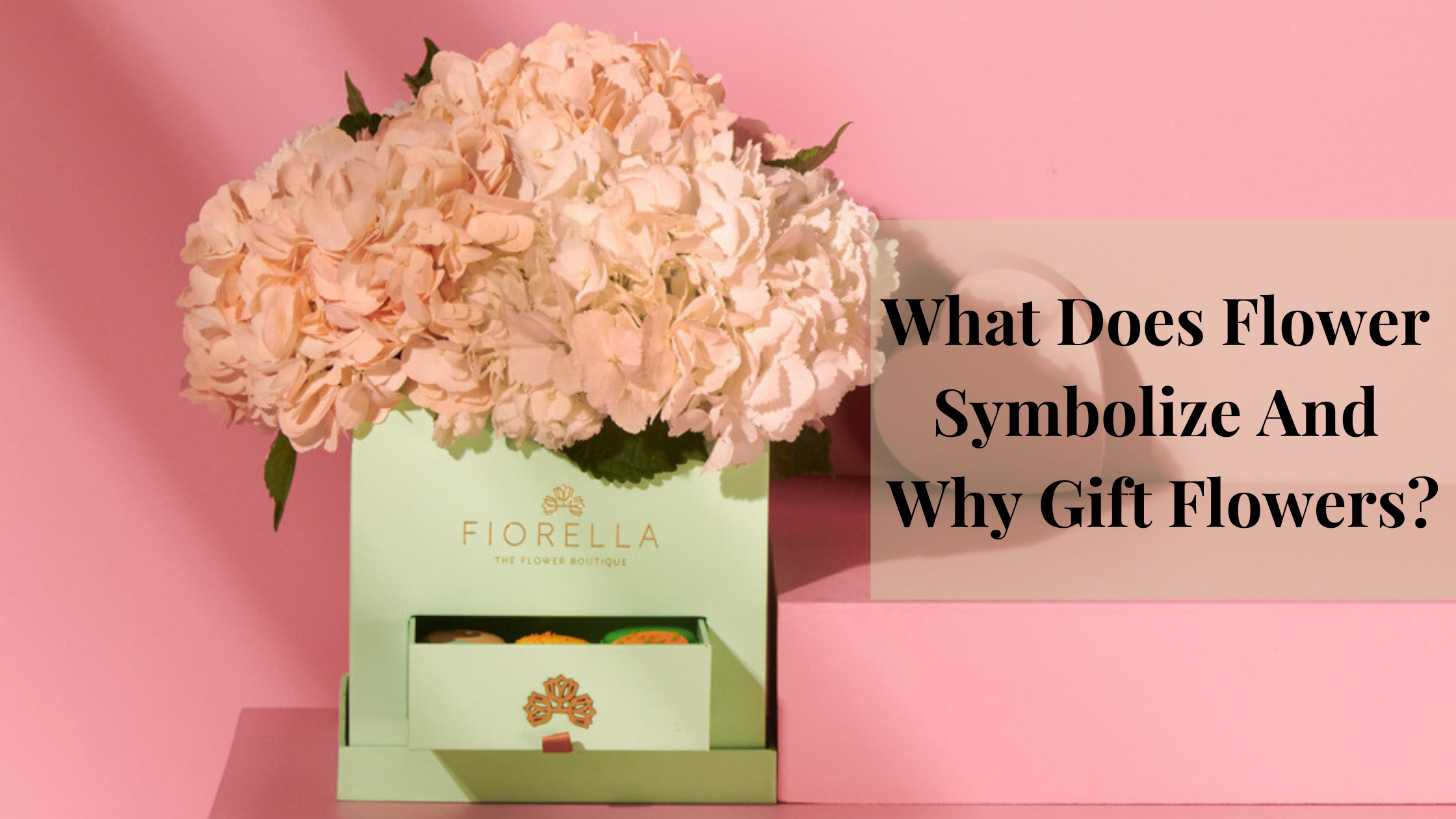 What Does Flower Symbolize And Why Gift Flowers