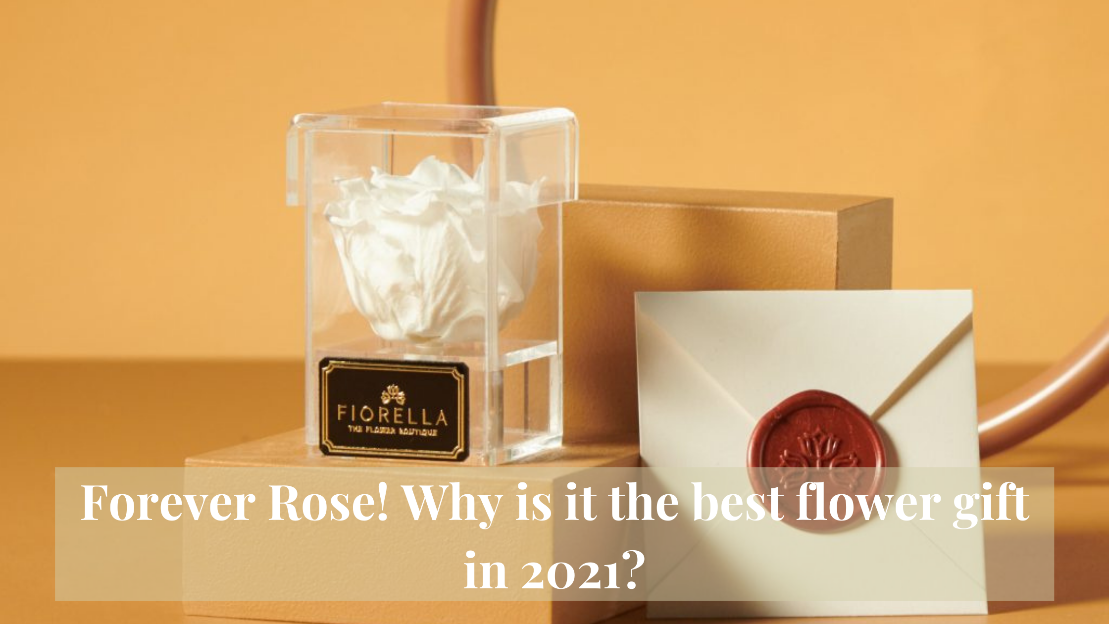 Forever Rose! Why is it the best flower gift in 2021?